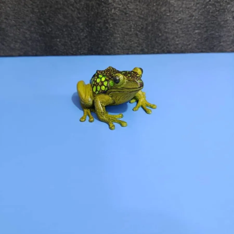 مجسمه مدل غورباقه