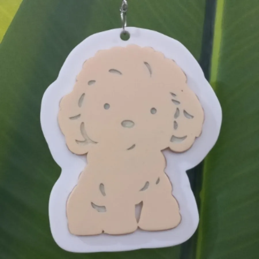 جاسوییچی فانتزی طرح هاپو