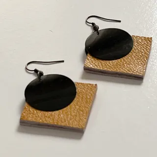 گوشواره درنا