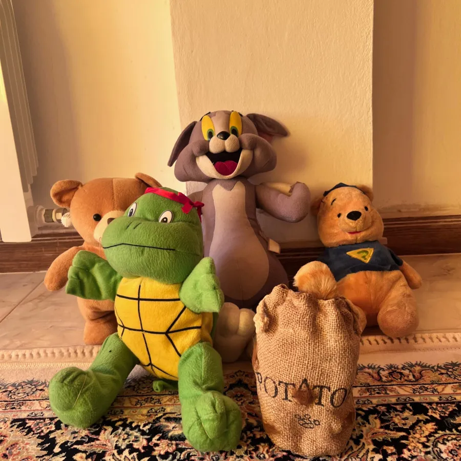 عروسک های متنوع