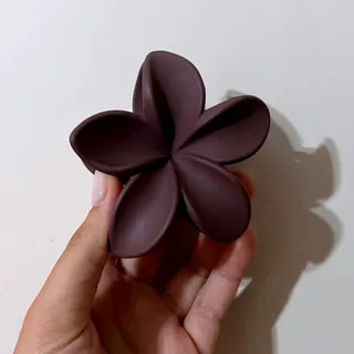 کلیپس قهوه ای