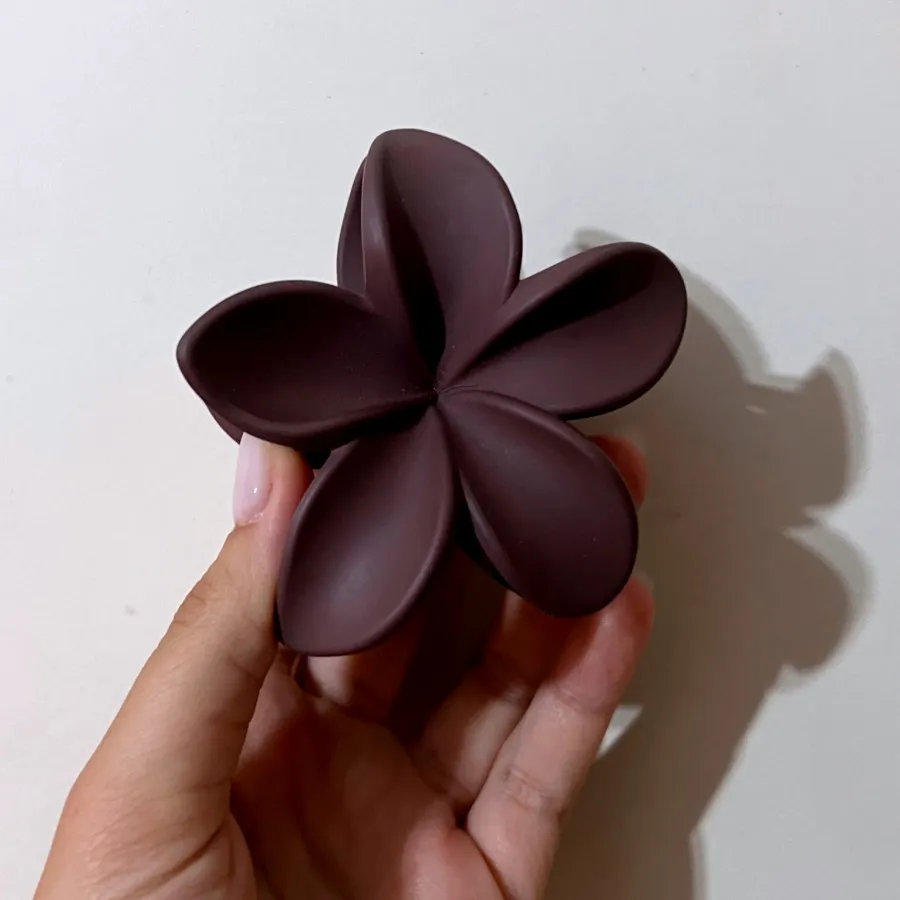 کلیپس قهوه ای