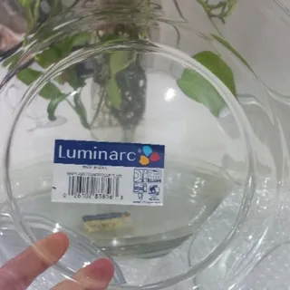 سرویس پیرکس لومینارک