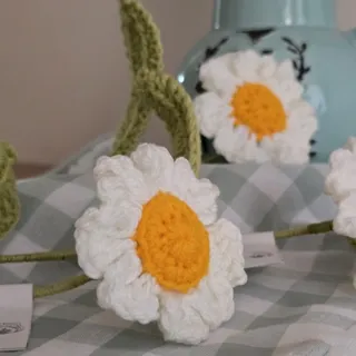 گل بابونه پینترستی