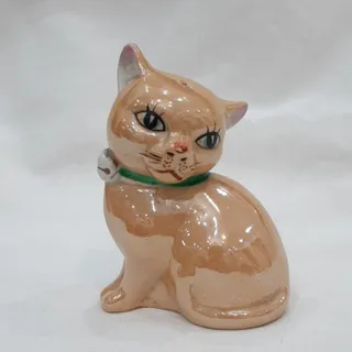 نمکدون گربه