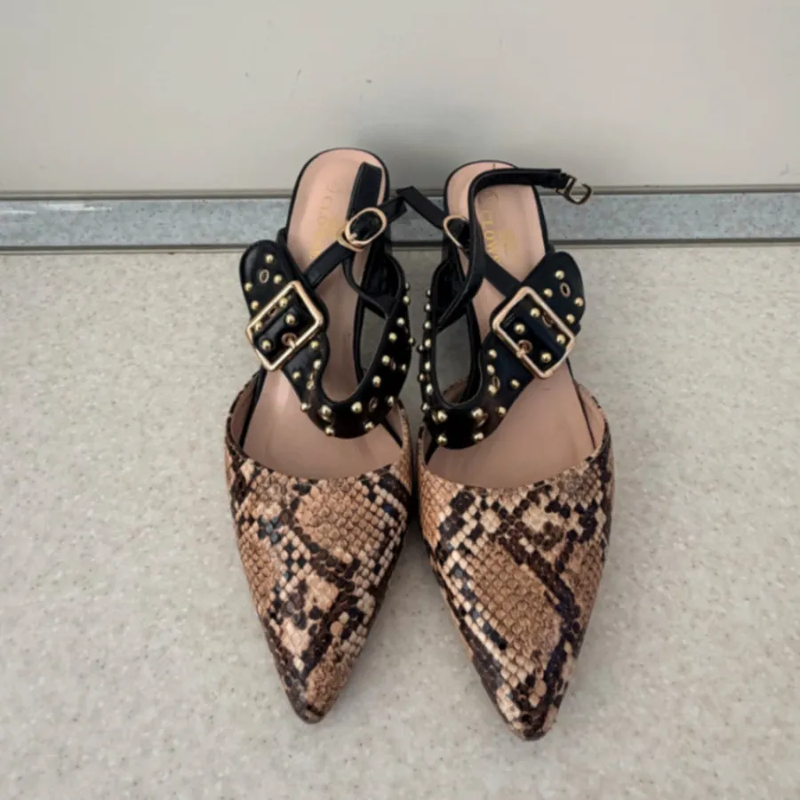 کفش پوست ماری