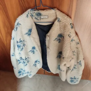 کت تدی مزونی