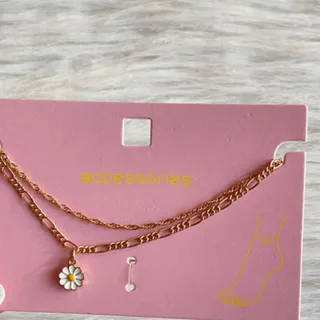 پاپند دولاین المانی