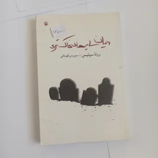 میان سایه‌های خاکستری