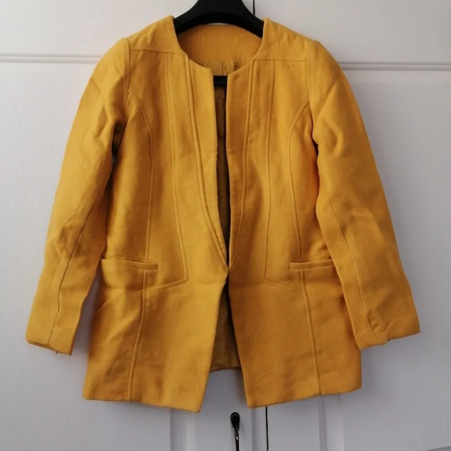 پالتو کتی وارداتی خردلی