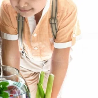 پیراهن پسرانه اور کیدز