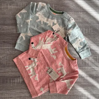 دورس  نوزادی