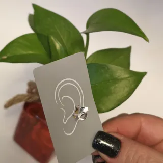 ایرکاف  گوش نقره