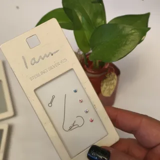 پرسینگ بینی