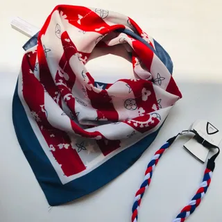 مینی اسکارف برندiam المان