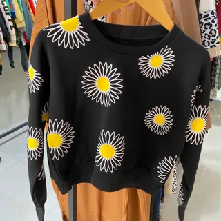 کراپ فینکردار