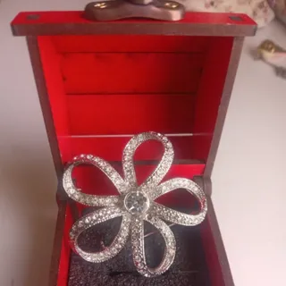 گل سینه زیبا