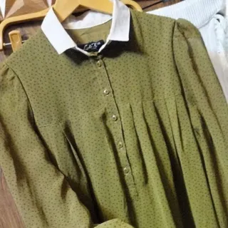 ساحلی اروپایی