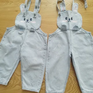 دو بندی دوقلویی