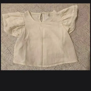 کراپ دفکتو مجلسی