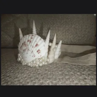 تاج صدفی خاص