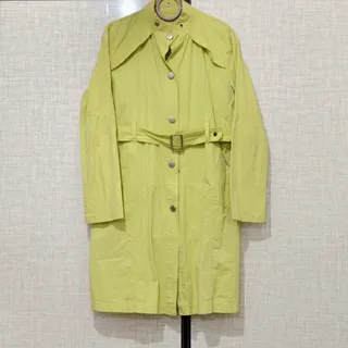 پاییزه لیمویی اروپایی