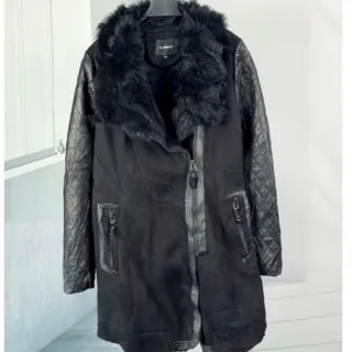 پالتو وارداتی