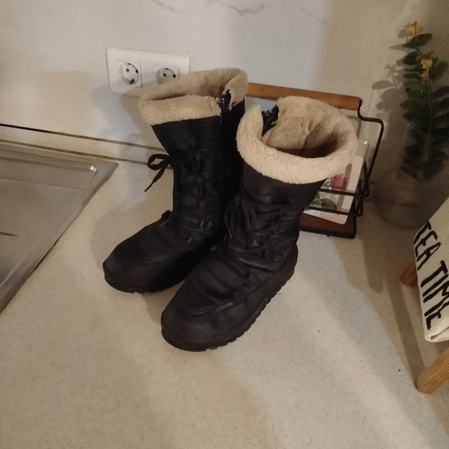 بوت فشن داگ