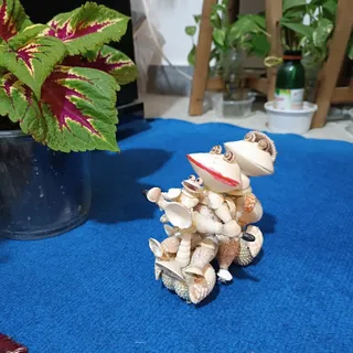 سازه صدفی خانواده قورباغه