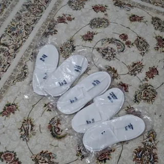 دمپایی بهداشتی