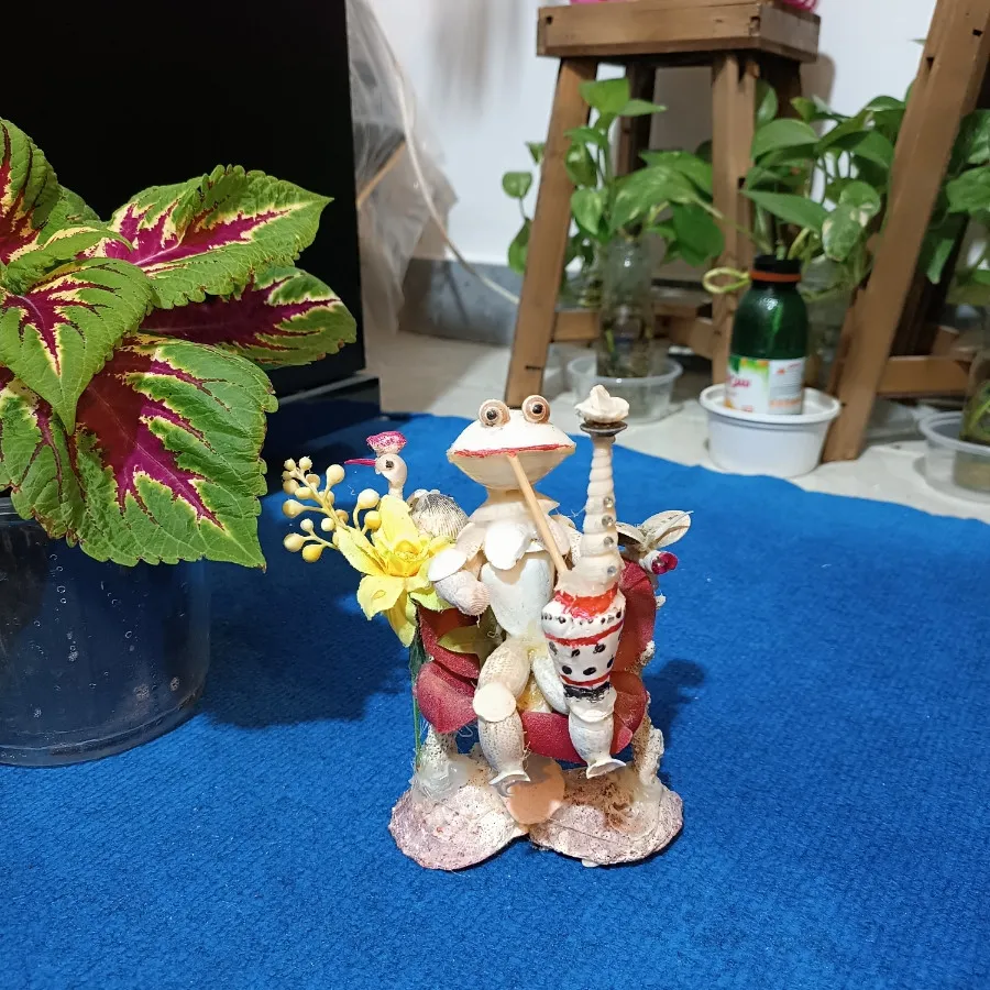 مجسمه صدفی حاجوقلی?