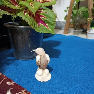 مجسمه صدفی پنگوین خجالتی
