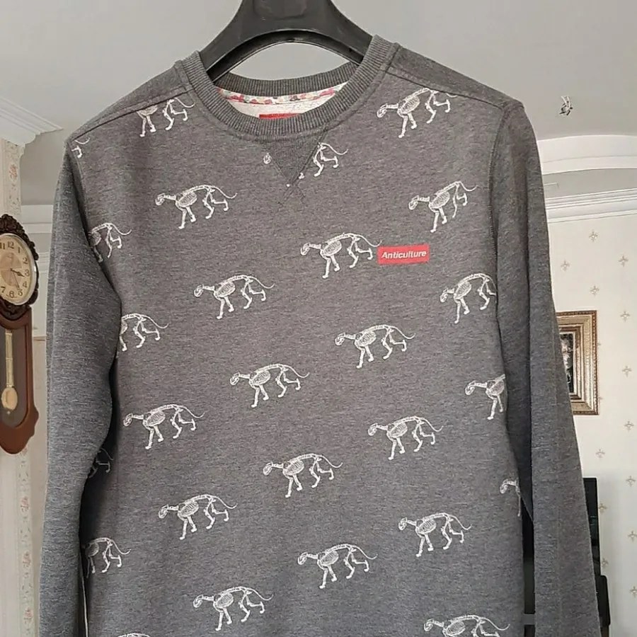 دورس دایناسوری