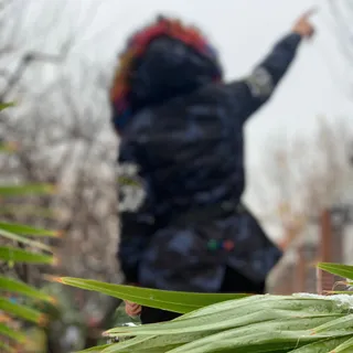 کاپشن چریکی خارجی مفت مفت