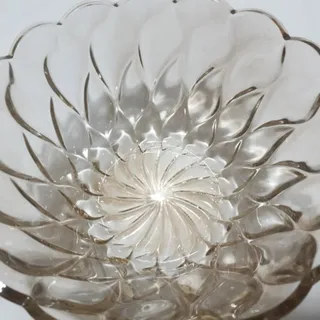 میوه خوری نباتی رنگ