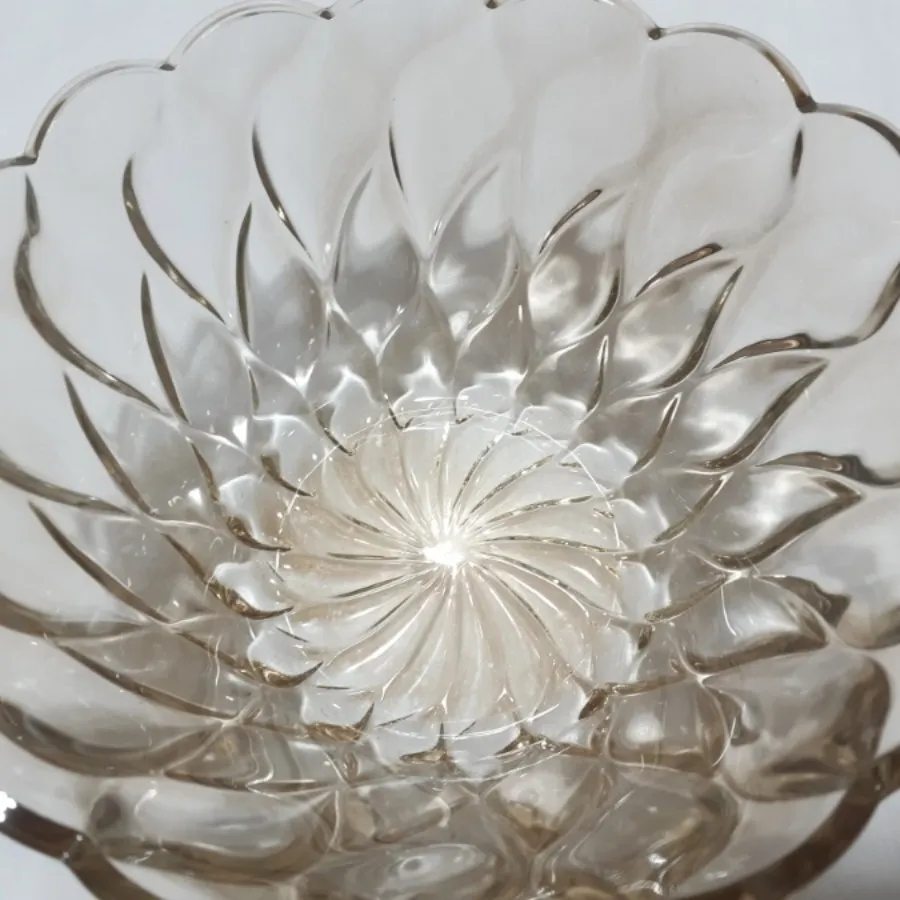 میوه خوری نباتی رنگ