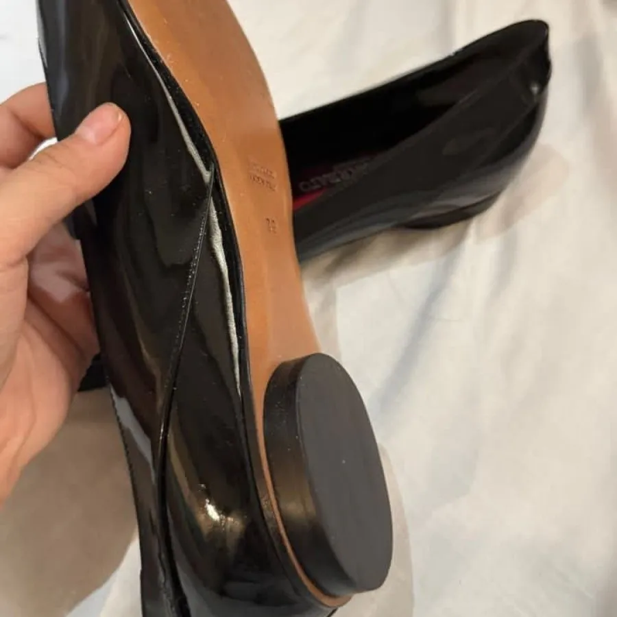 کالج آنتونیو بارباتو