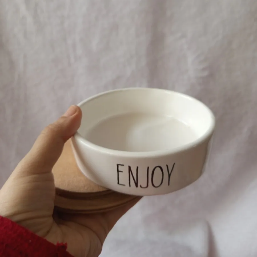 ظرف سرامیکی