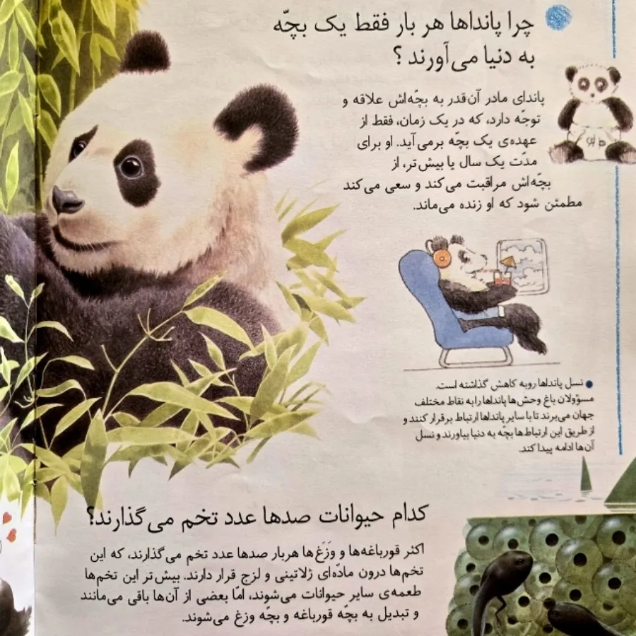 کتاب میدانی چرا کانگورها