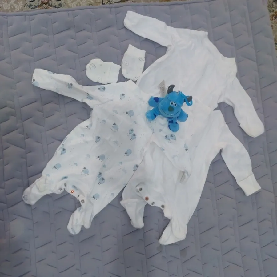 سرزمین نوزادی