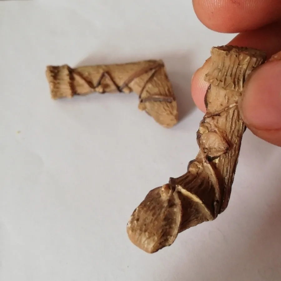 مجسمه چکمه  جفت 80 تومن