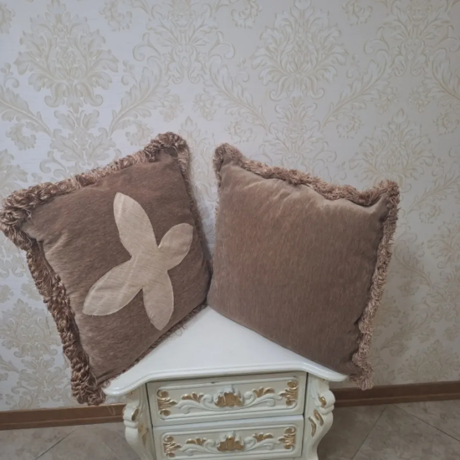 شش عدد کوسن پر شده