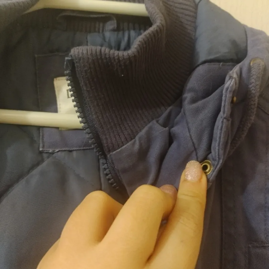 پالتو دفکتو