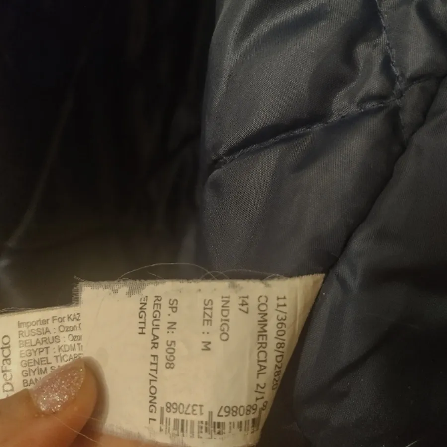 پالتو دفکتو