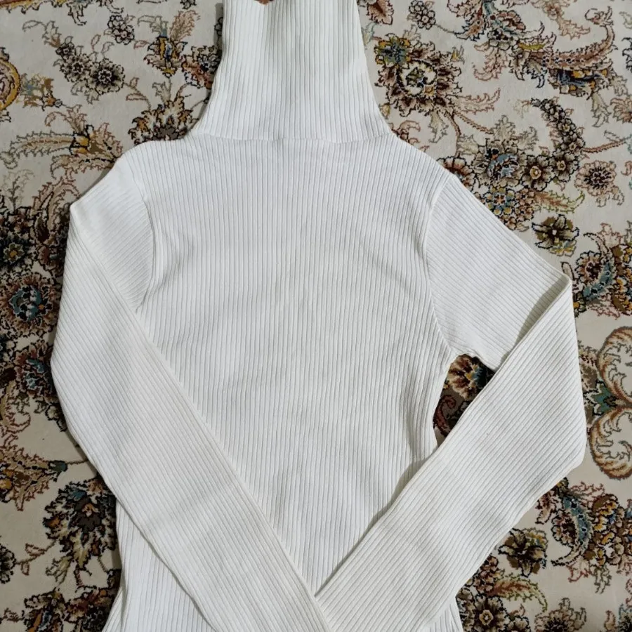 بادی
