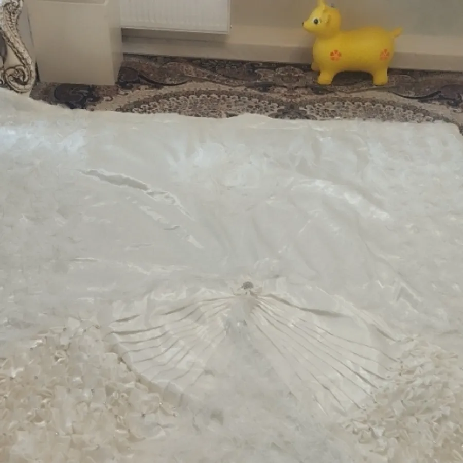 روتختی نو مجلسی