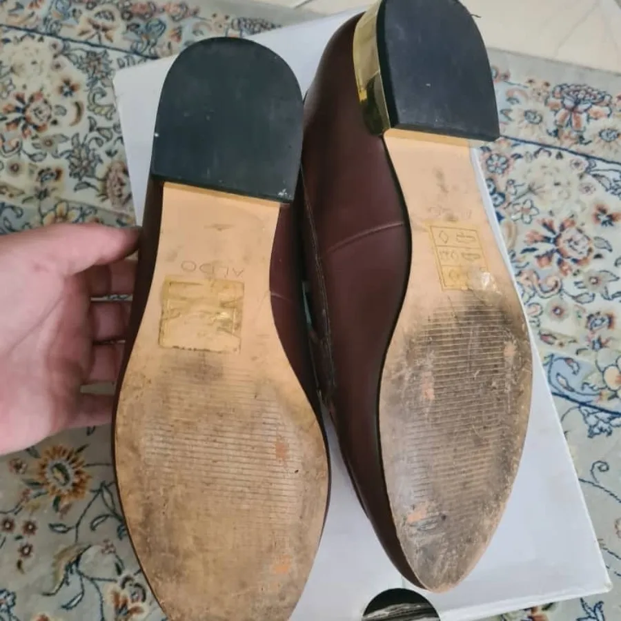 کفش برند aldo