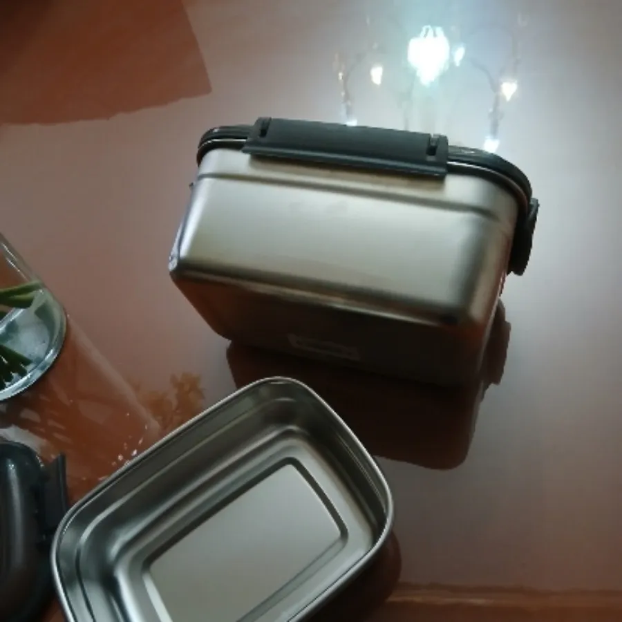 ظرف غذای استیل بادرب پلاس
