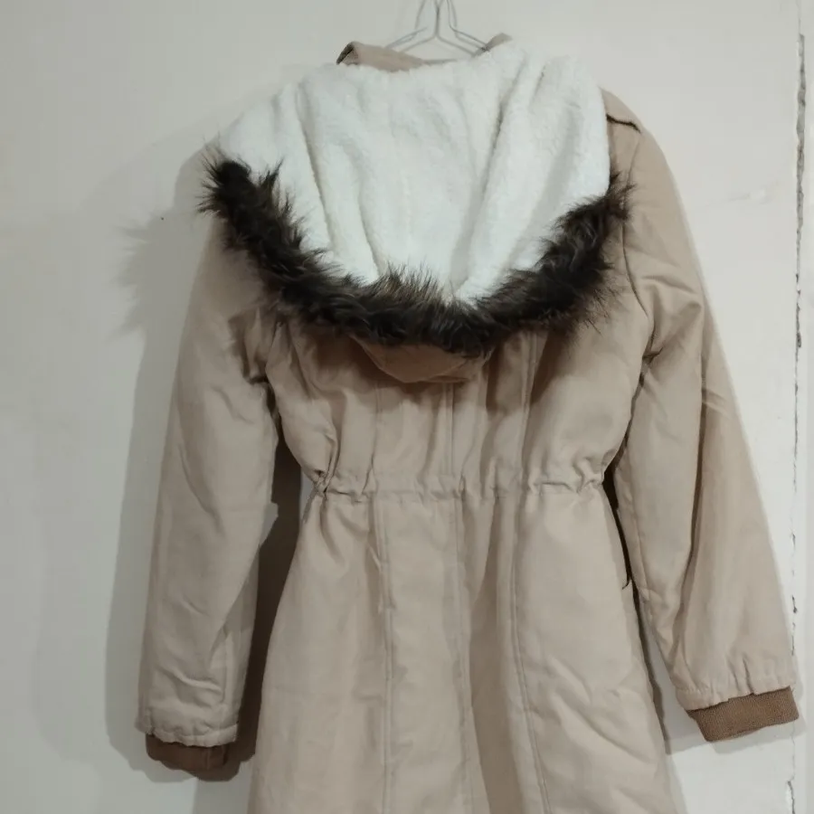 پالتو