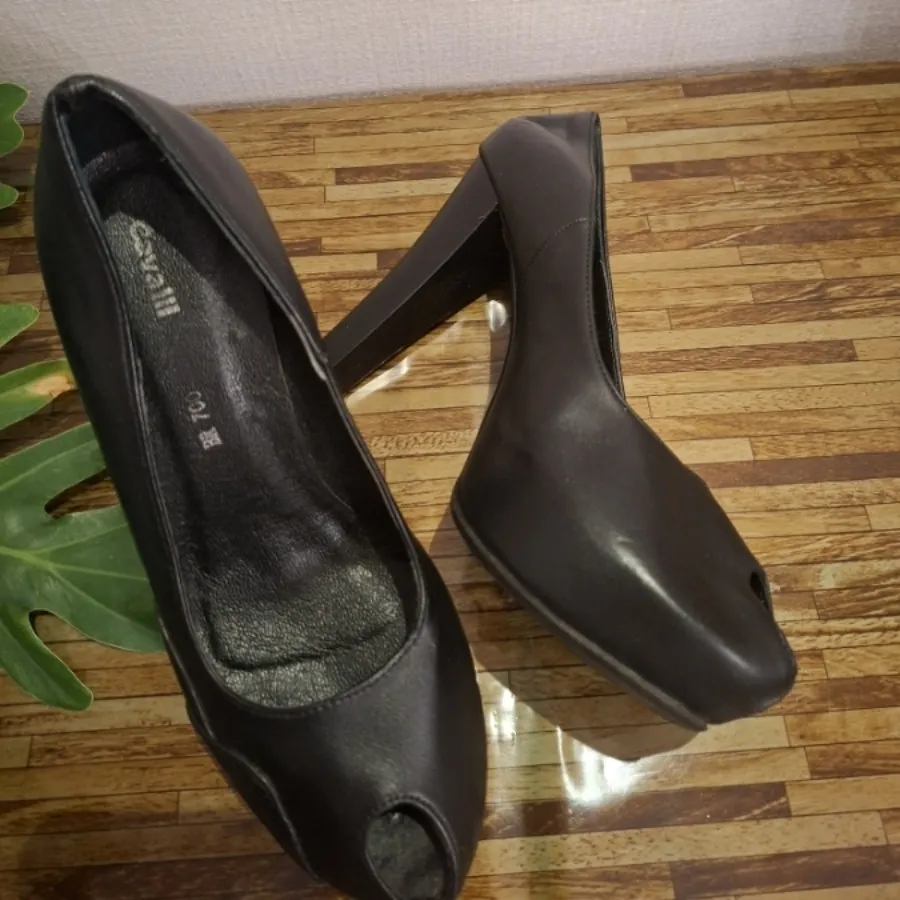کفش مجلسی